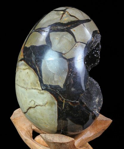 Septarian Dragon Egg Geode - Black Crystals #72064